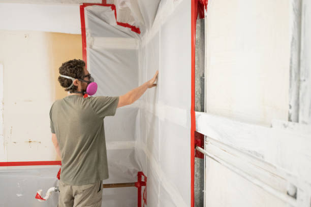 Best Comprehensive Air Testing for Mold Contaminants  in Tladega, AL
