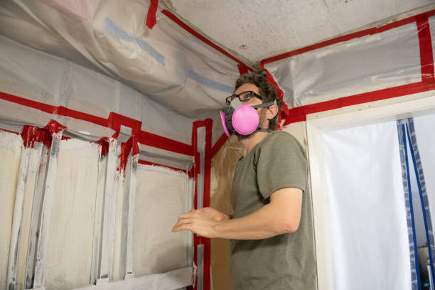 Best Real Estate Mold Inspection  in Tladega, AL