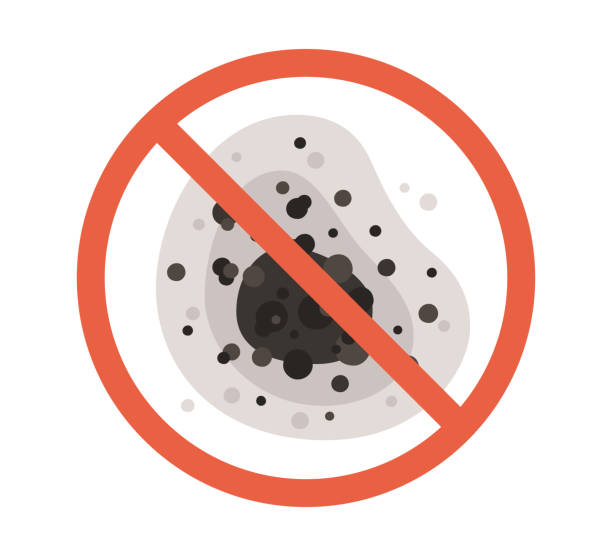 Best Mold Odor Removal Services  in Tladega, AL