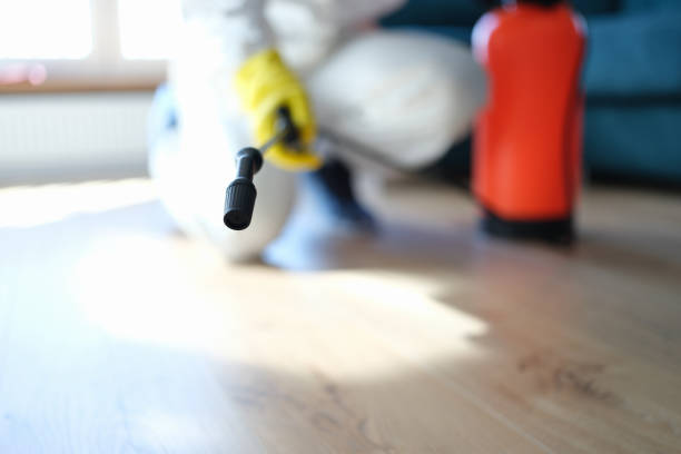 Best Black Mold Removal  in Tladega, AL