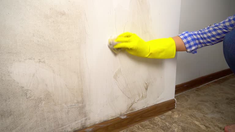 Best Comprehensive Air Testing for Mold Contaminants  in Tladega, AL