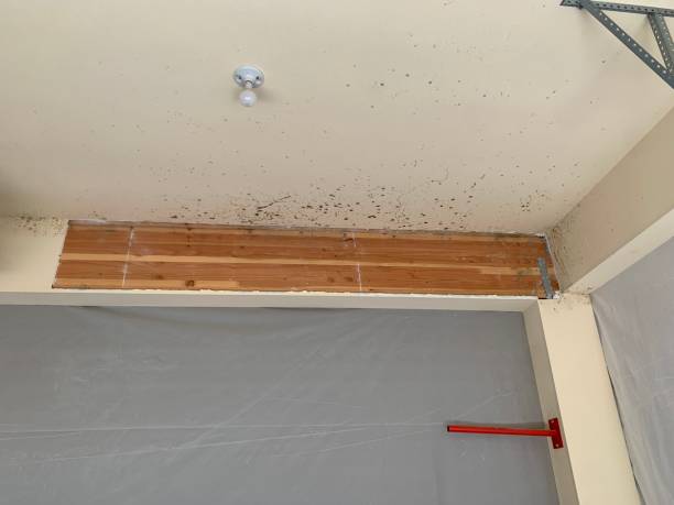Best Post-Remediation Verification Testing  in Tladega, AL