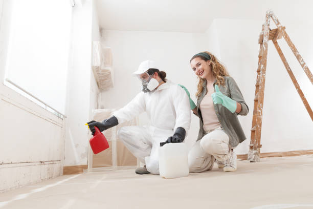 Best Mold Damage Restoration  in Tladega, AL