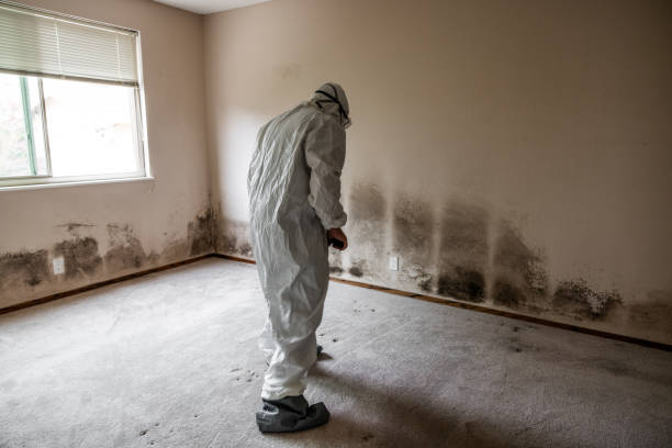 Best Biohazard Mold Removal  in Tladega, AL